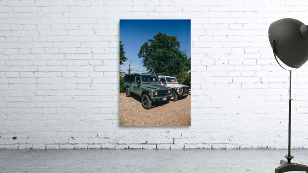 SF1A0606 Wall Preview