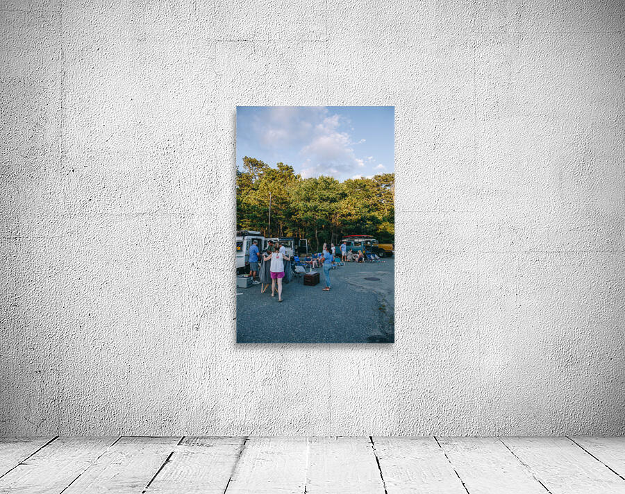 SF1A0694 Wall Preview