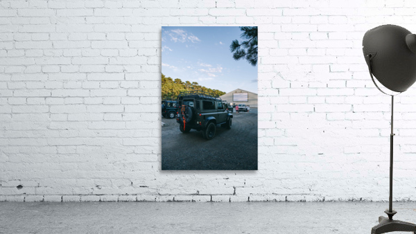 SF1A0684 Wall Preview