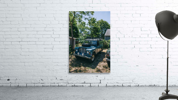 SF1A0596 Wall Preview