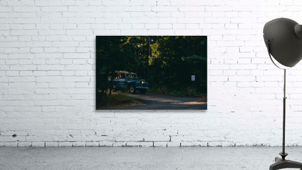 4J3A2650 Wall Preview