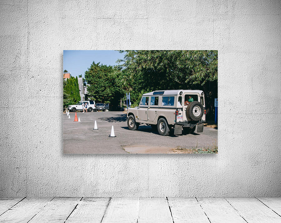 SF1A0804 Wall Preview