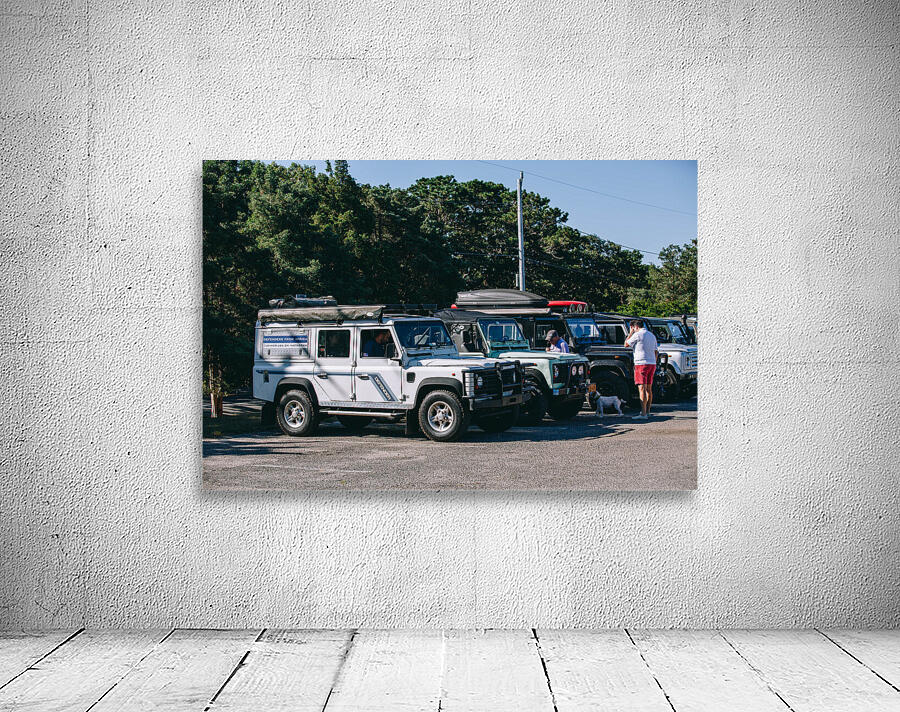 SF1A0819 Wall Preview
