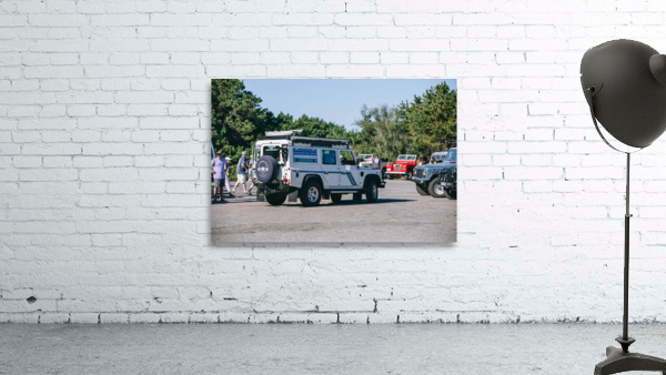 SF1A0817 Wall Preview