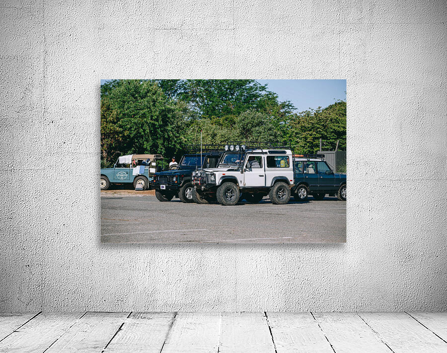SF1A0773 Wall Preview
