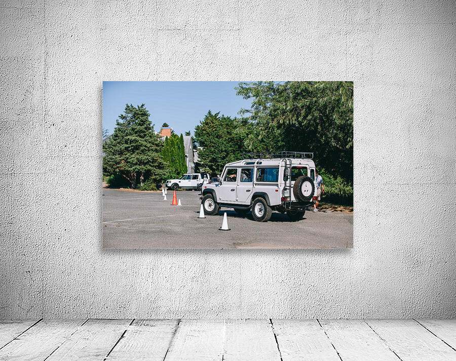 SF1A0797 Wall Preview