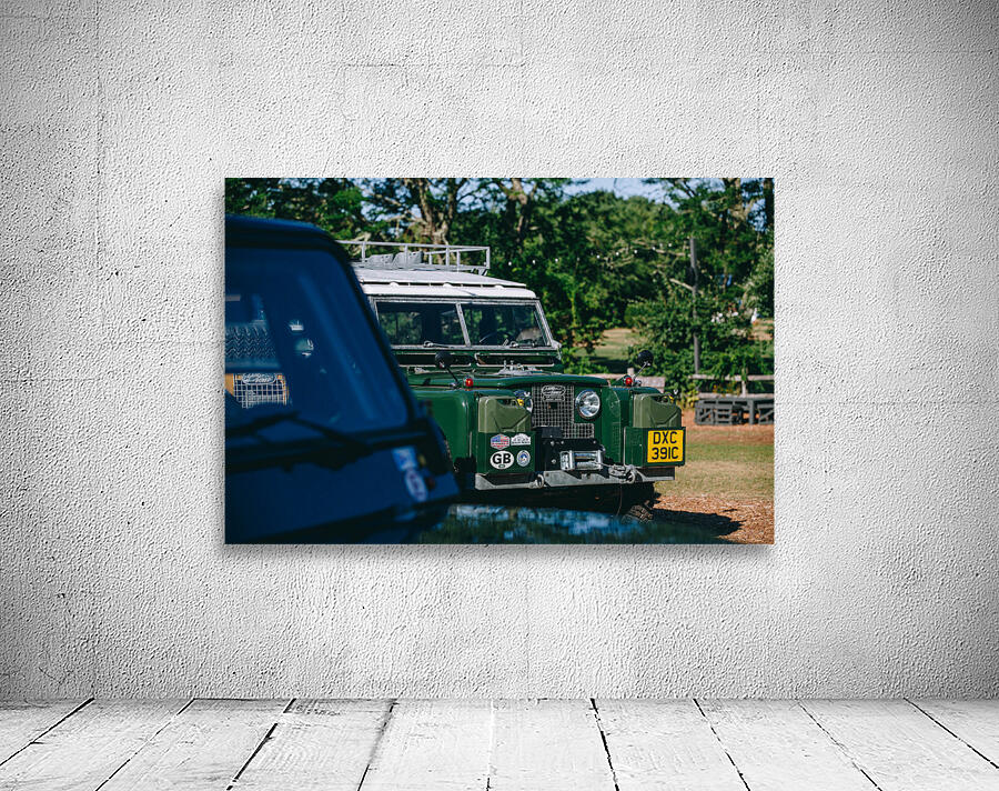 SF1A0766 Wall Preview