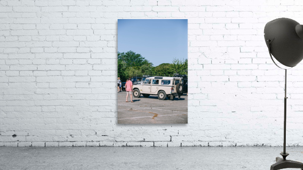 SF1A0806 Wall Preview
