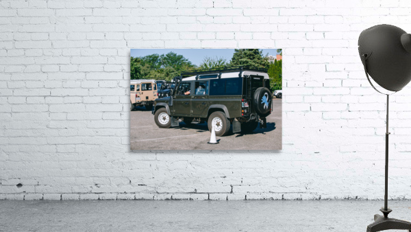 SF1A0838 Wall Preview