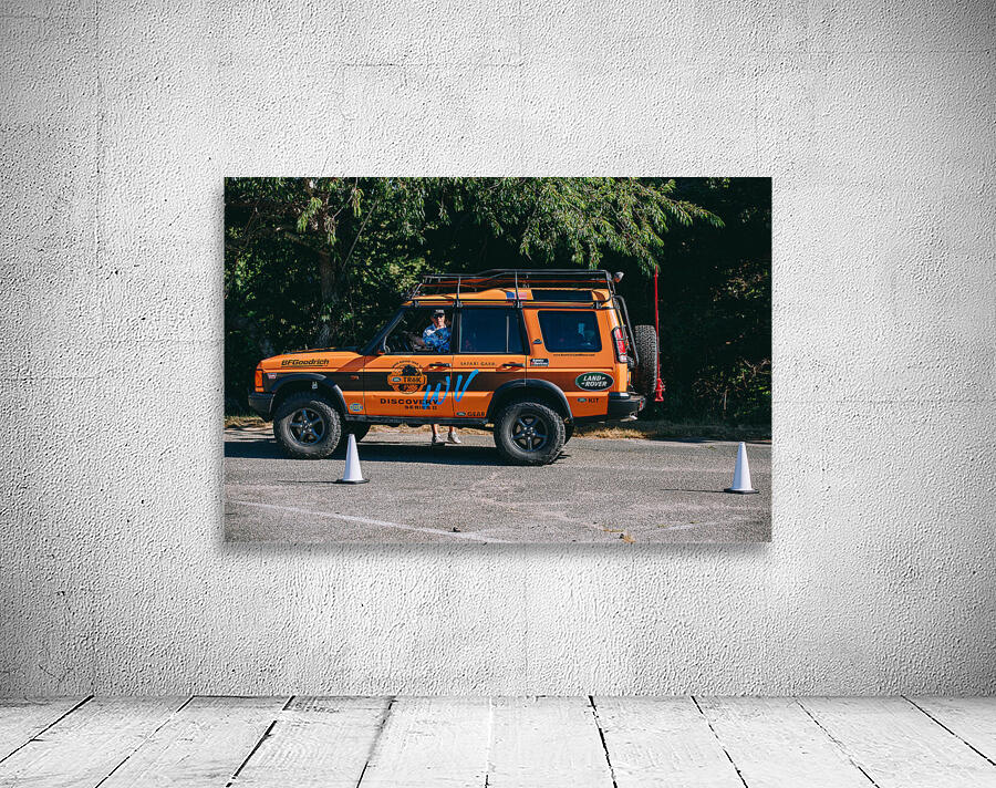 SF1A0809 Wall Preview