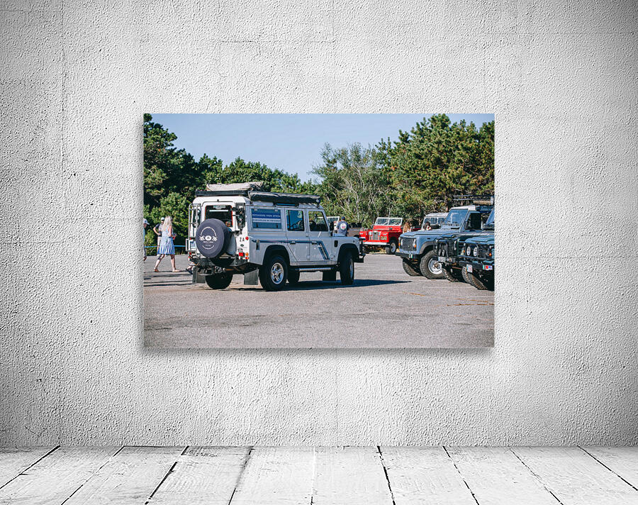 SF1A0815 Wall Preview