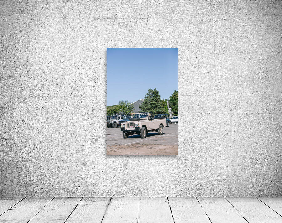 SF1A0865 Wall Preview