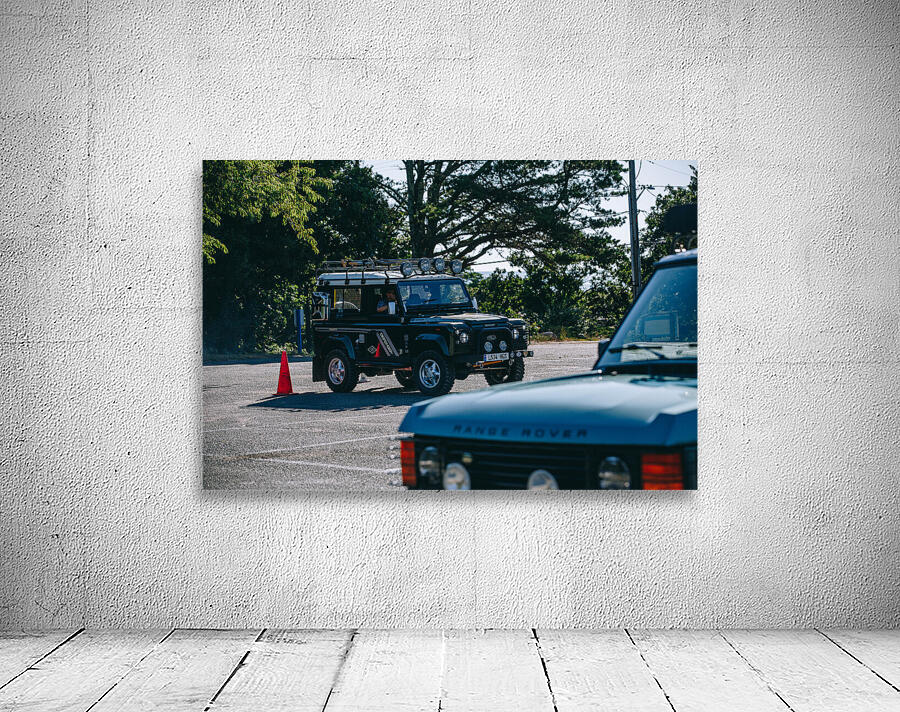 SF1A0770 Wall Preview