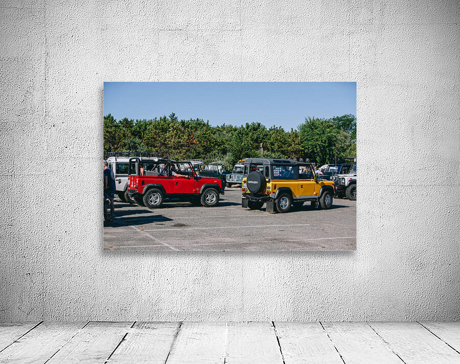 SF1A0885 Wall Preview
