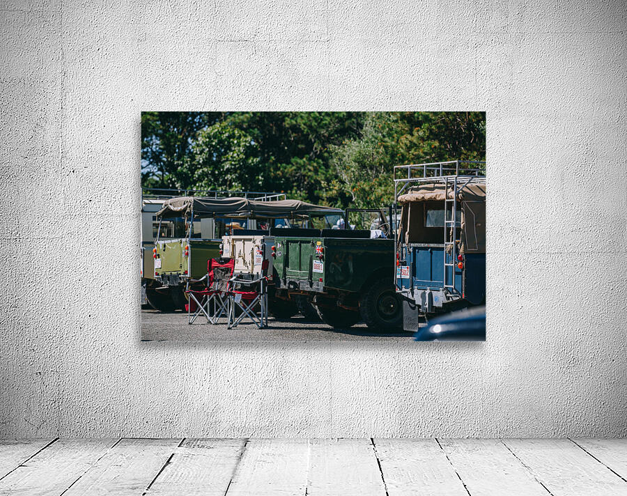 SF1A0954 Wall Preview