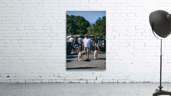 SF1A0914 Wall Preview
