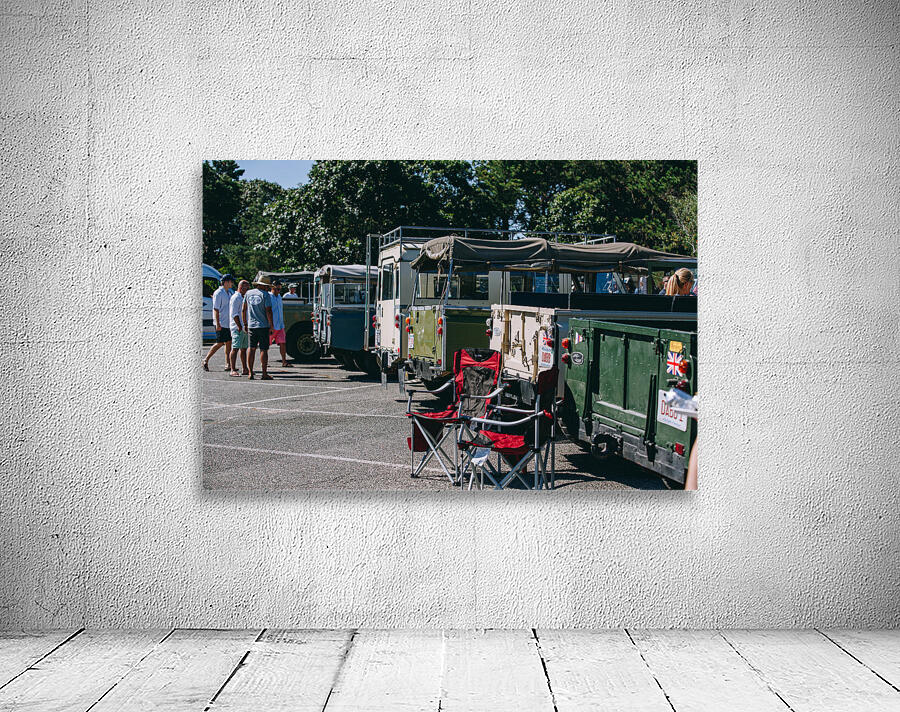 SF1A0944 Wall Preview