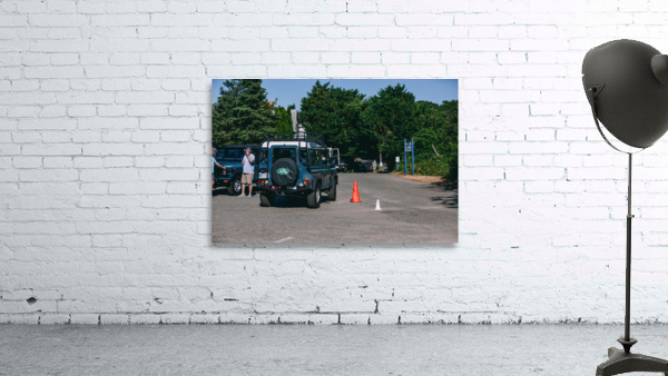 SF1A0903 Wall Preview