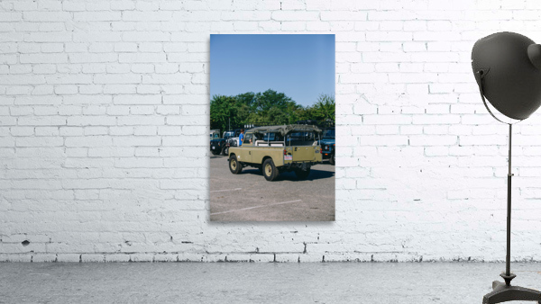 SF1A0901 Wall Preview