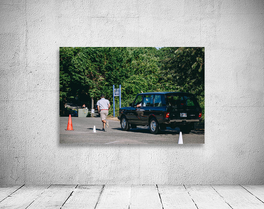 SF1A0872 Wall Preview