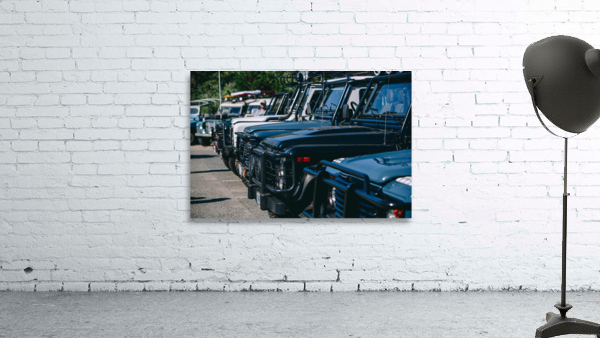 SF1A0912 Wall Preview