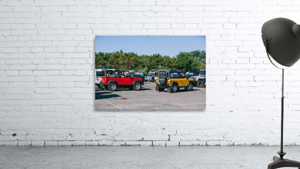 SF1A0883 Wall Preview