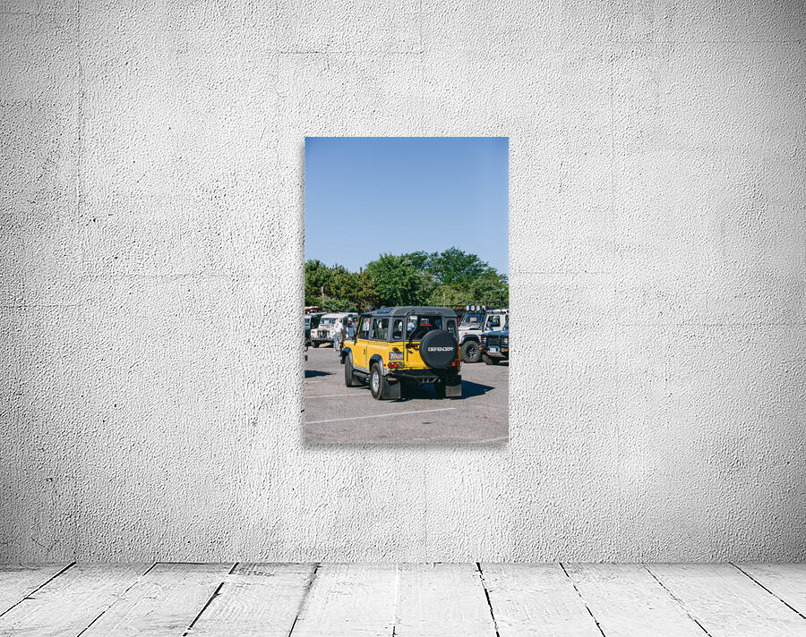 SF1A0878 Wall Preview