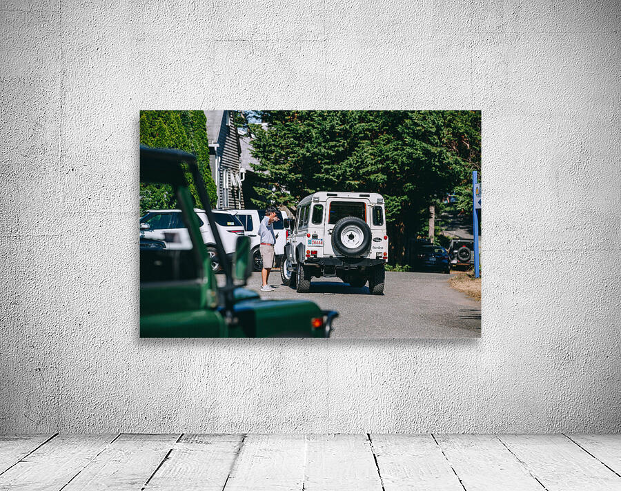 SF1A0907 Wall Preview
