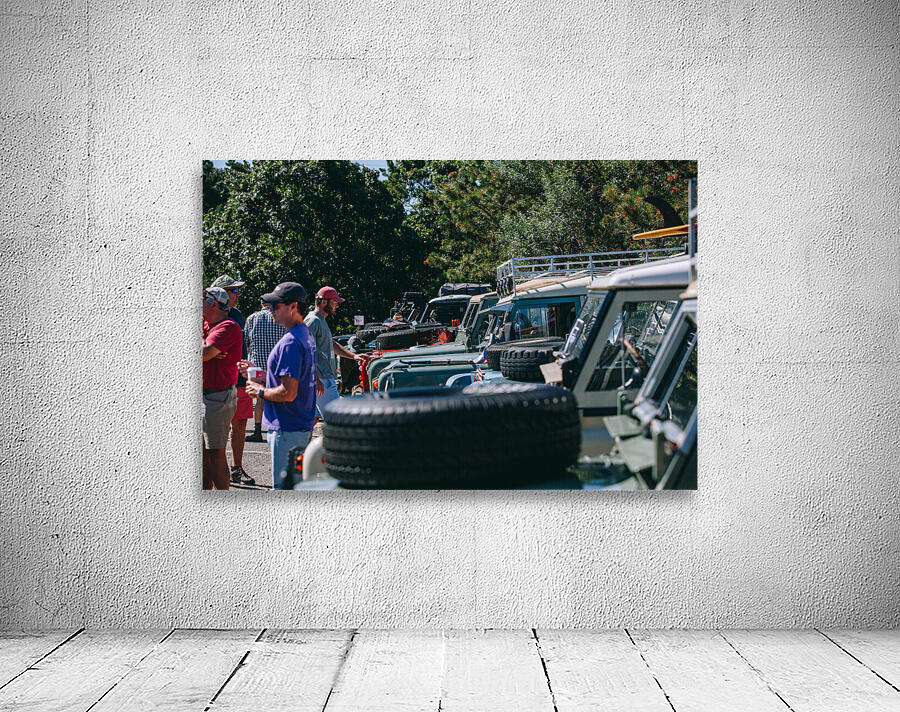 SF1A0931 Wall Preview