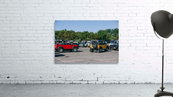 SF1A0880 Wall Preview