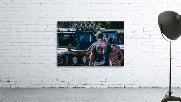 SF1A0951 Wall Preview