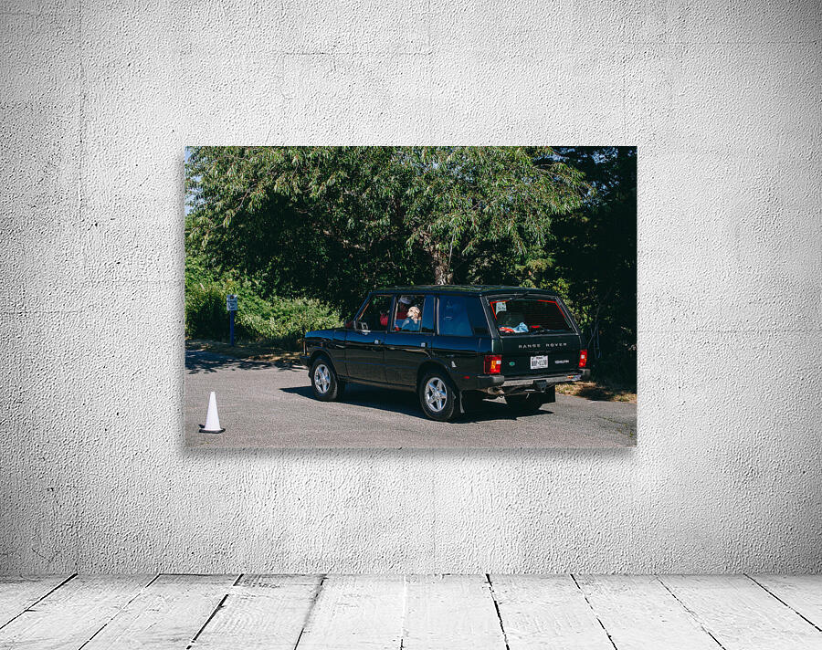 SF1A0894 Wall Preview