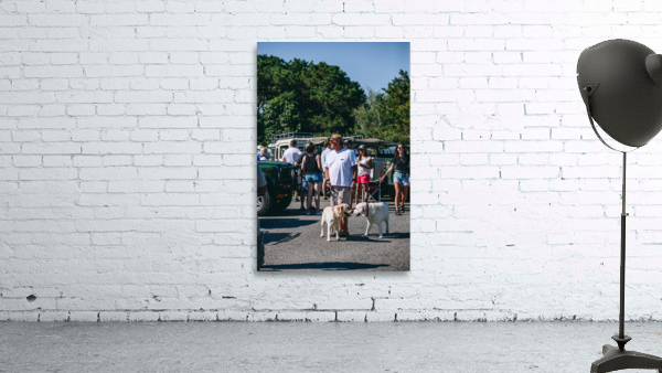 SF1A0916 Wall Preview