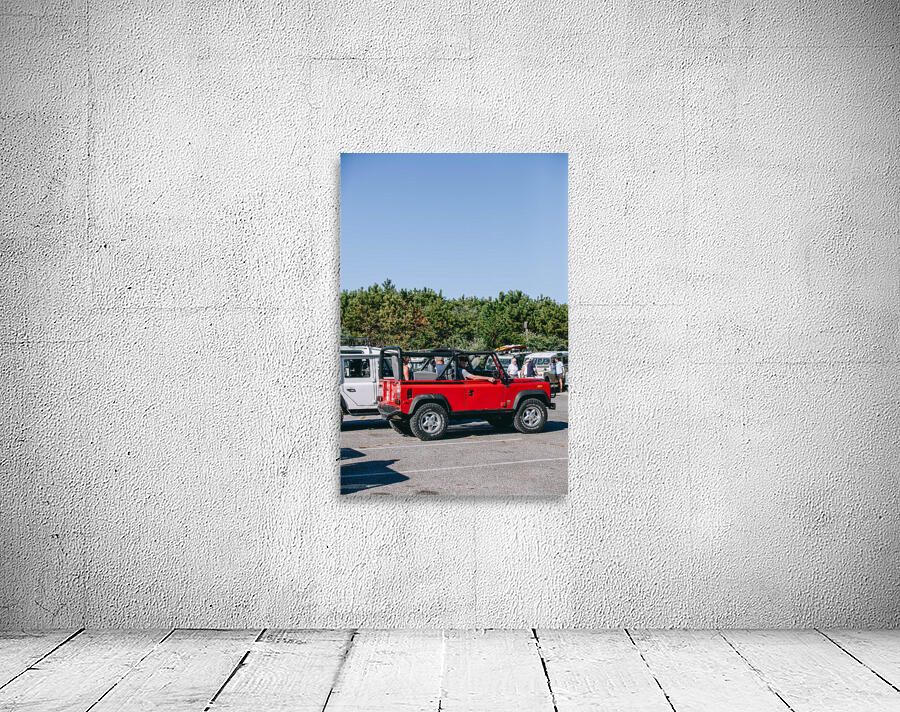 SF1A0877 Wall Preview
