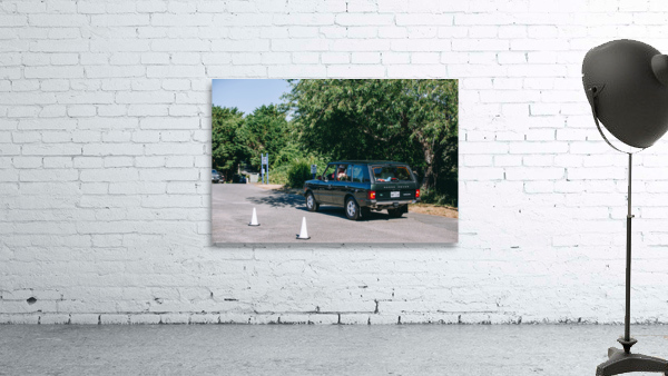 SF1A0899 Wall Preview
