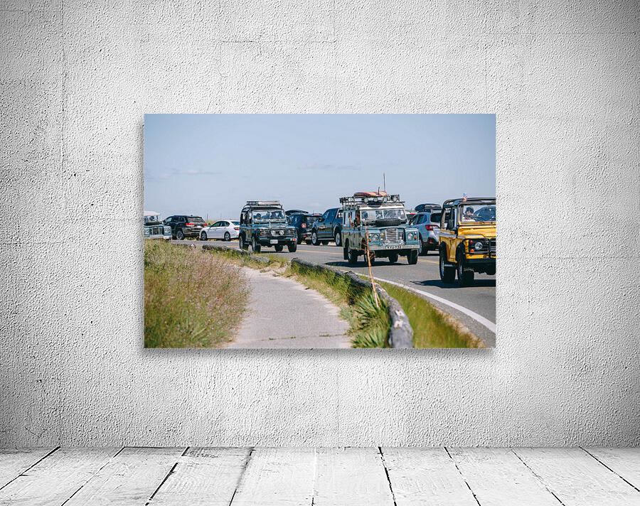 SF1A1089 Wall Preview