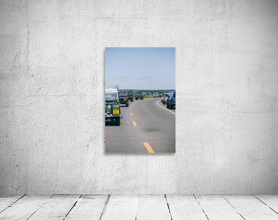 SF1A1058 Wall Preview