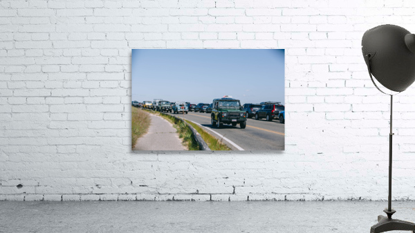 SF1A1063 Wall Preview