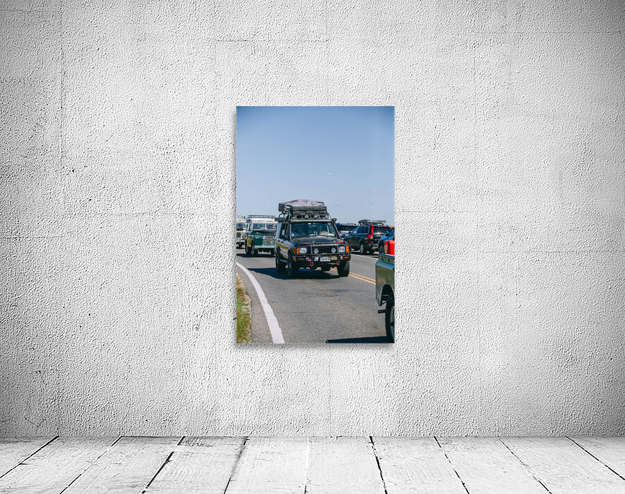 SF1A1122 Wall Preview