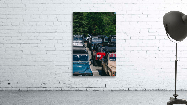 SF1A0969 Wall Preview