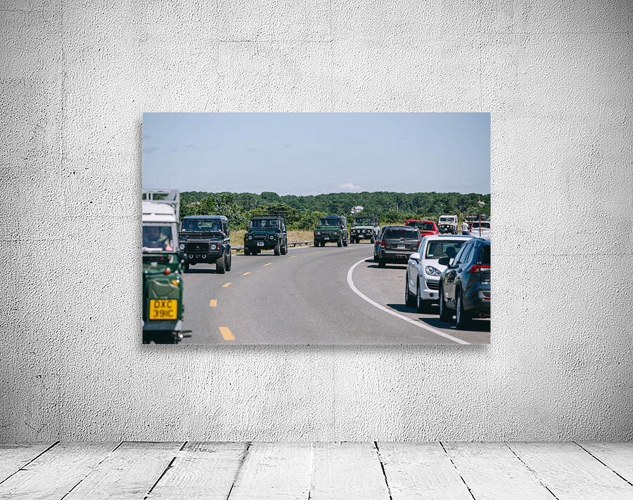SF1A1031 Wall Preview