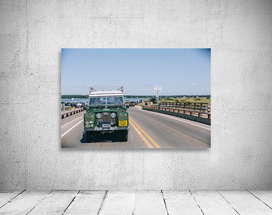 SF1A1048 Wall Preview