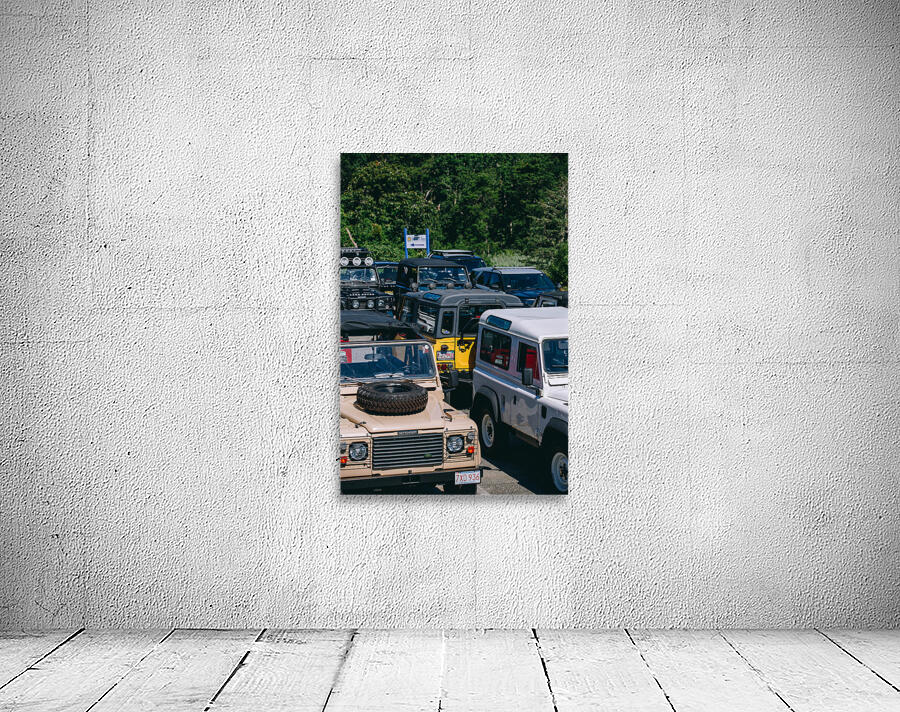 SF1A0967 Wall Preview