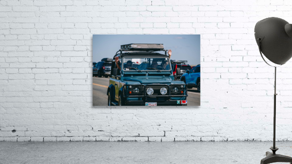SF1A1094 Wall Preview