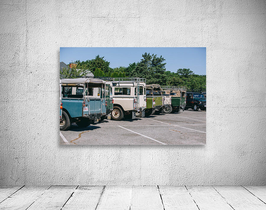 SF1A0994 Wall Preview