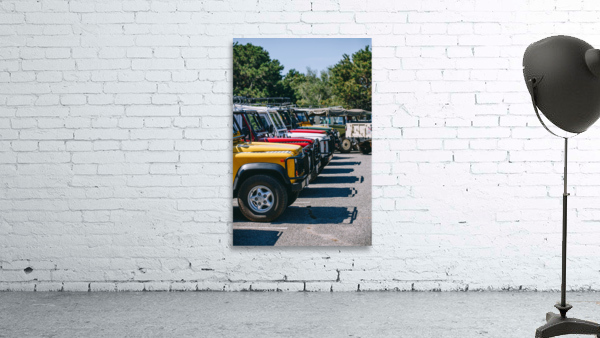 SF1A1004 Wall Preview