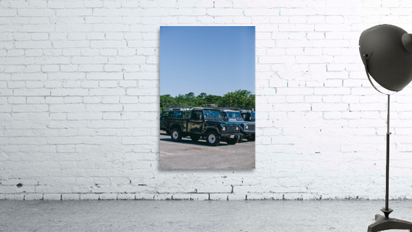 SF1A0990 Wall Preview