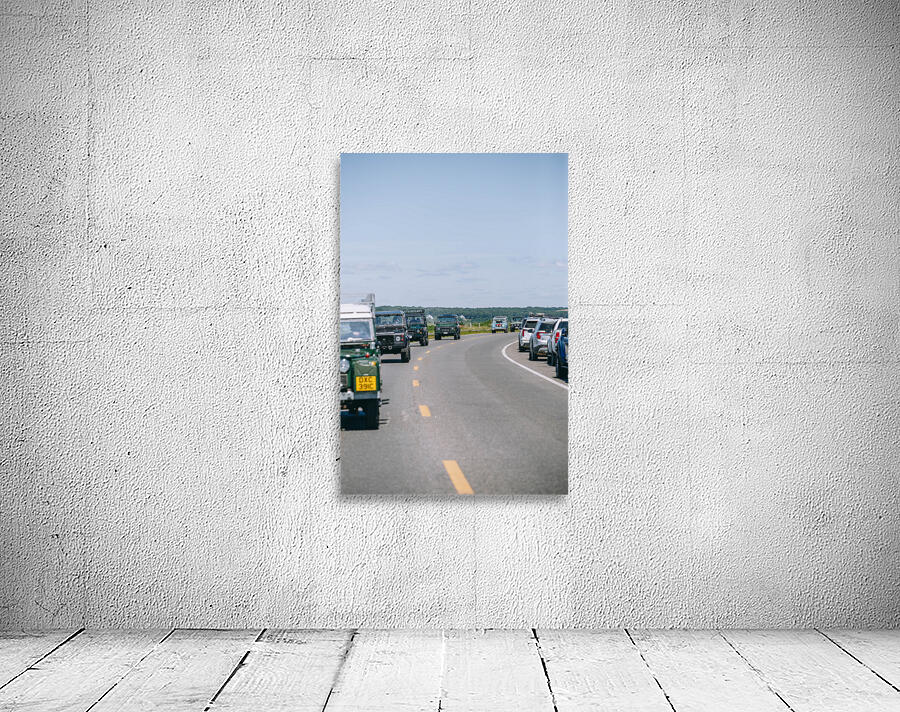 SF1A1057 Wall Preview