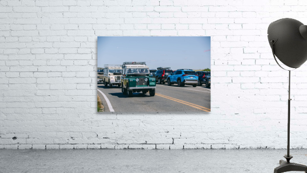 SF1A1126 Wall Preview