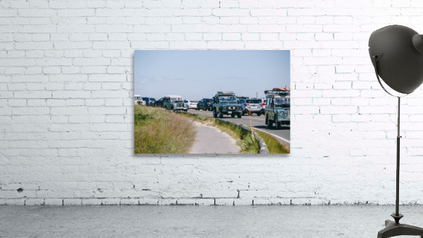 SF1A1091 Wall Preview